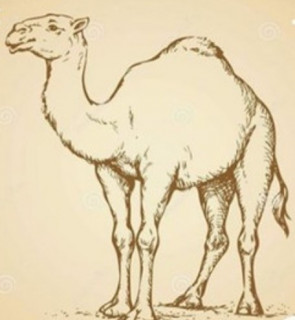 Ткань Тик 100% хлопок 220 см набивной диз Camel 3 Премиум М
