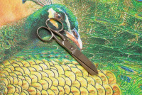 Бязь набивная 150 см рис 1457, миниатюра 5