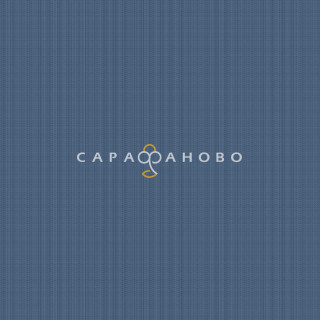 Ткань Рогожка 150 см 163 гр набивная арт 902 рис 29427 вид 1 "Акцент"