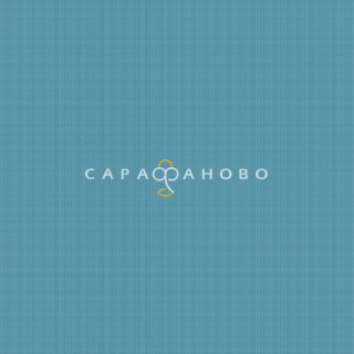 Ткань Рогожка 150 см 163 гр набивная арт 902 рис 29427 вид 3 "Акцент"