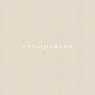 Ткань Рогожка 150 см 163 гр набивная арт 902 рис 29427 вид 5 "Акцент"