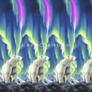 Ткань Перкаль 220 см набивной арт 239 "Тейково" рис 72052 вид 1 "Северное сияние"