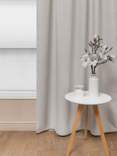 Однотонный блэкаут RS 6668-002/280 BL NC