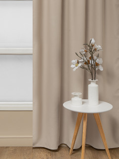 Однотонный блэкаут RS 6668-004/280 BL NC