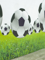 Печать сатен FB Football-blk/300 P Pech, миниатюра 2