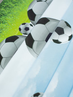 Печать сатен FB Football-blk/300 P Pech, миниатюра 3