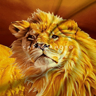 Ткань Перкаль 220 см «Лев» рис 6255 вид 1