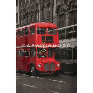 Печать сатен HH 3959-01/280 P Pech