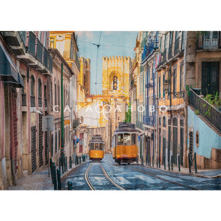 Печать сатен HH 3961-01/280 P Pech