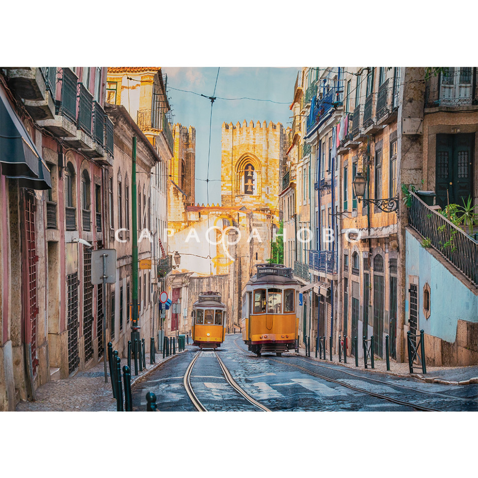 Печать сатен HH 3961-01/280 P Pech