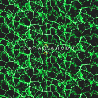 Ткань Перкаль 220 см 110 гр рис 7251 вид 1 "Неоновое небо НЕОН" 