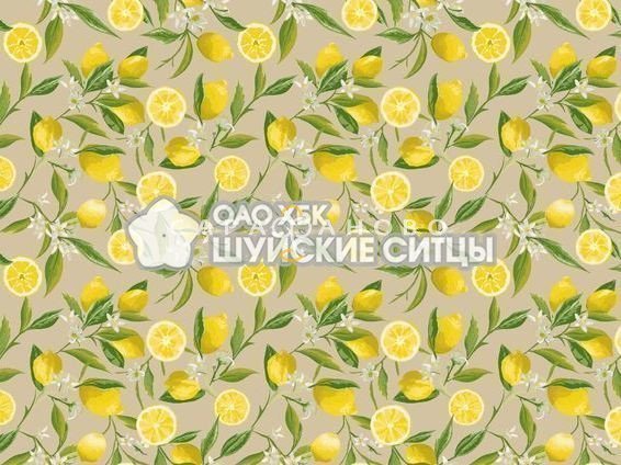 Ткань Полотенечная 150 95682
