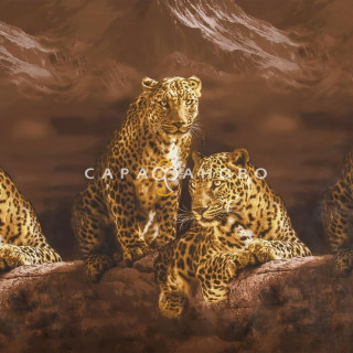 Ткань Бязь 220 см 120 гр Лео (основа) 12925-1